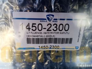 Fluence 09 - 16 Motor Kaputu 651002244R 1450-2300